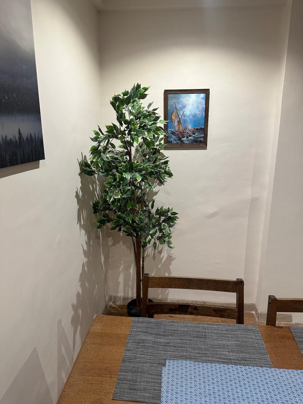 Apartament Sperb 4 Bedroom *